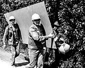 пока начальство не видит