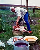 Николаев поближе к кухне