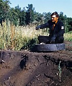 слушай сюда, зелень