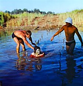 плыви, плыви